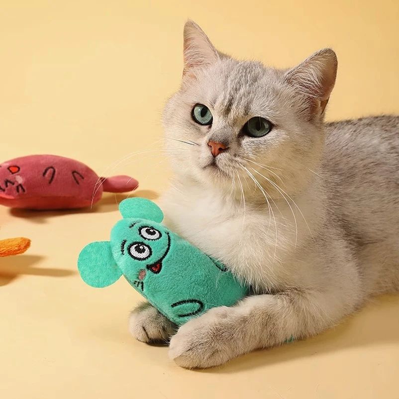 Cat Toy Training Entertainment Plush Stuffed Pillow Simulati
