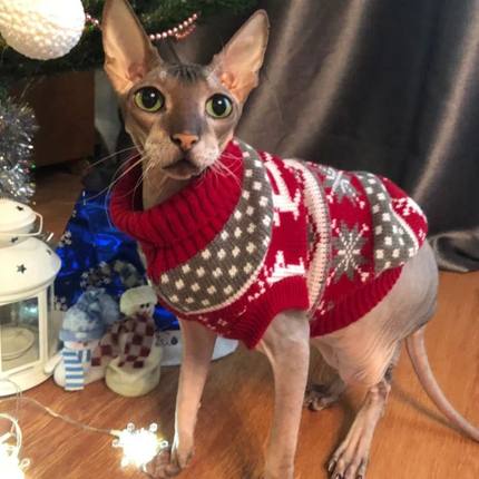 Cute Sphynx Cat Sweater Pullover Winter Warm Pet Clothes for