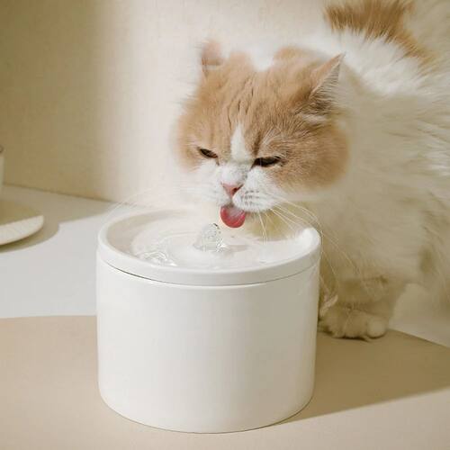 Cat Automatic Water Dispenser, Pet Ceramic Bowl, Dog Bowl Wa