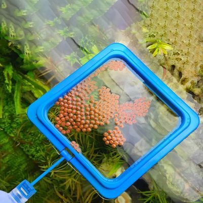 Floating Fish Food Feeder Ring - Square Circle Aquarium Stat