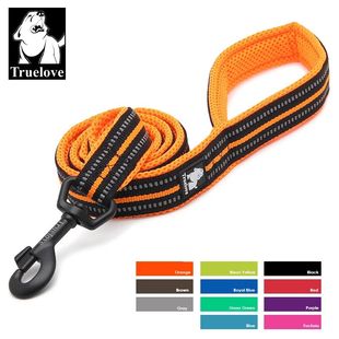 Truelove Soft Pet Leash Reflective Nylon Mesh Padded Puppy L