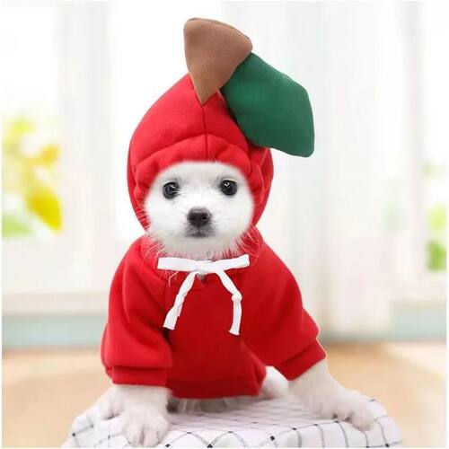 Cute Dog Hoodie Pet Fruit Clothes Funny Dog Cat Coats with H