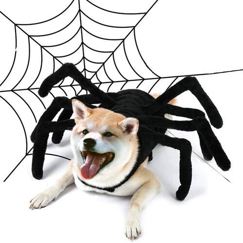 Halloween Pet Costume Spider Chest Back Design for Cats Smal
