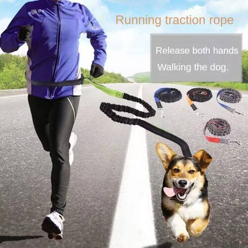 Hand Free Dog Leash for Pet Walking Running Jogging Dog leas
