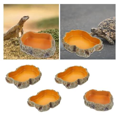 Reptile pet food basin drinking water basin reptile breeding