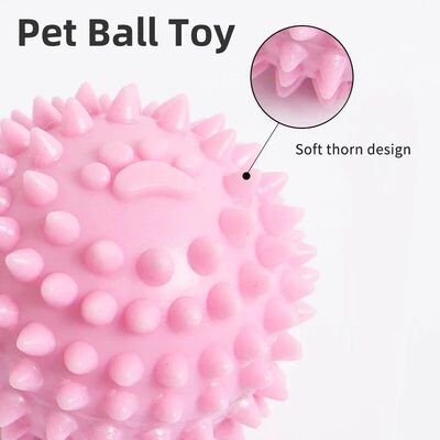 Pet Ball Toys Dog Chewing Toy Interactive Rubber Ball for Sm