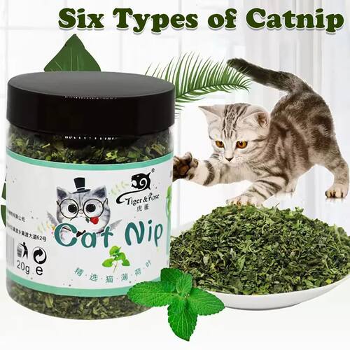 Organic 100% Natural High Quality Catnip Cattle Grass Mint T