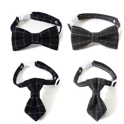 Breakaway cat Collar with Bell kitten Cat Collars Cat Access