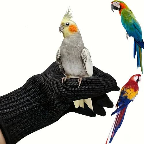 Bird Training Anti-Bite Gloves Small Animal Handling Wire Gl