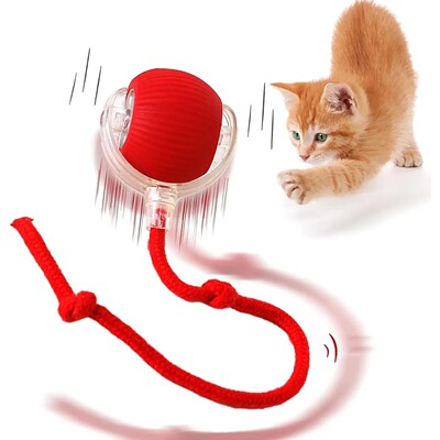 Automatic Rolling Ball Interactive Ball Cat Toys Pet Supplie