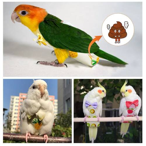 Parrot Diaper Flight Suit Diaper Clothes Parrot Parakeet Pig