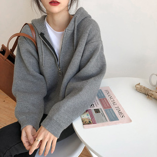 外套慵懒风毛衣女秋冬2025年新款 拉链连帽针织开衫 百搭宽松外穿潮