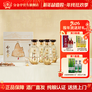 分金亭-韶华42°浓香白酒480ML*4瓶整箱礼盒公关宴请应酬慢醉快醒