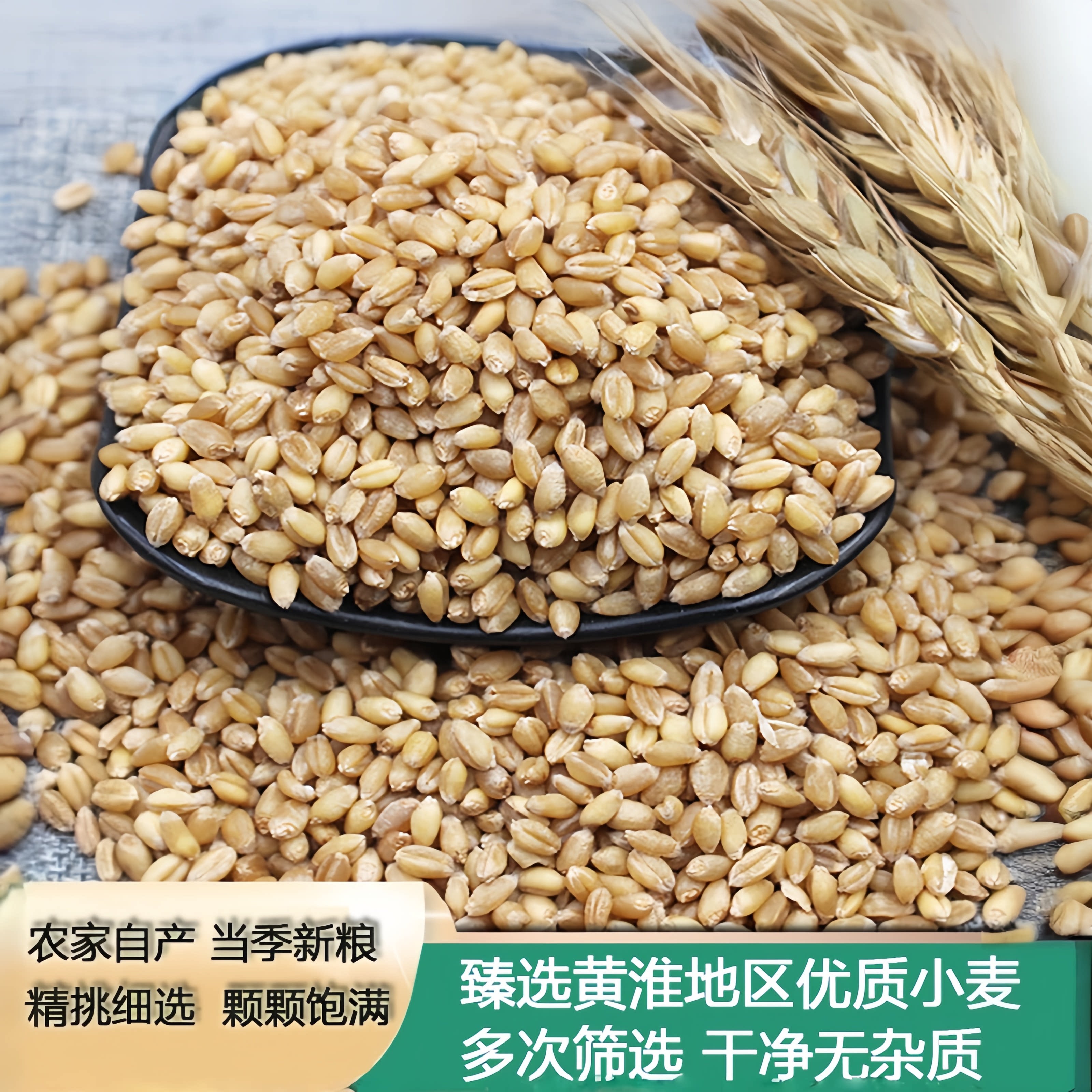 漫泉河发芽种猫草做麦芽糖图片