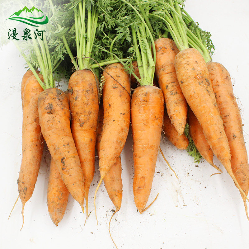 Diffuse River 5 catties Carrot Farm Fresh vegetables baby Small ginsengin the Aquatic meat/Fresh fruits and vegetables/Cooked , Fresh vegetables/Vegetable products , Fresh vegetables , Other  category - from Buy2taobao.com to provide professional Taobao agent buy service