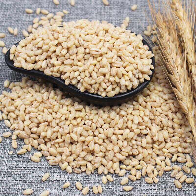 Manquan River new wheat kernel rice Wheat kernel peeling five grains porridge with steamed rice grain wheat rice 2 pounds