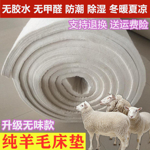 床垫羊毛毡20mm厚单人学生垫子双人手工铺炕毡子榻榻米飘窗垫包邮
