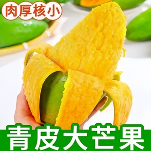新鲜水果青皮芒果生熟两吃 芒果8.5斤正宗大青芒当季