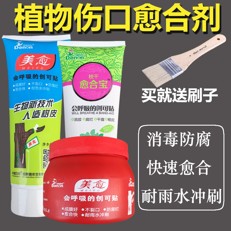 大树伤口涂抹愈合剂 保水防腐快速愈合 苗木嫁接切口树木修剪封口