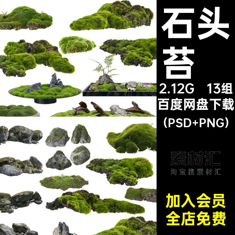 矾根花镜（PSD PNG）蕨类植物psd阳装室扣园林景观苔藓石头素材