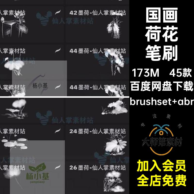 花卉荷花笔刷国画国风古典莲花45款传统procreateps水墨荷花笔刷