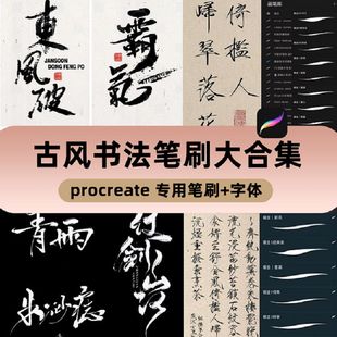 procreate笔刷古风书法水墨写字手写瘦金体中文板写毛笔ipad字体