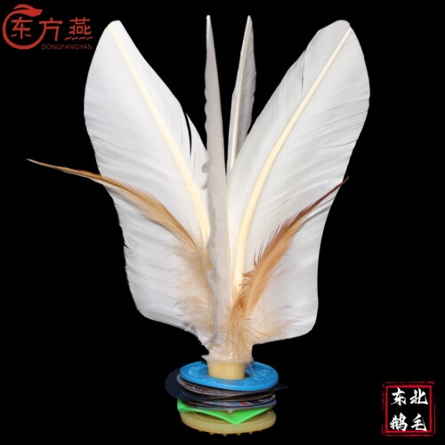 大白毽子比赛专用成人健身