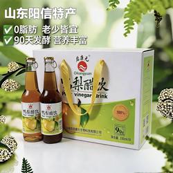 山东阳信特产鸭梨醋饮启康元浓缩果汁饮料玻璃瓶装破损包赔正品