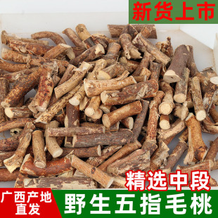 正宗广西特产野生五指毛桃根中药材茯茶苓煲汤泡水中段切片五爪龙