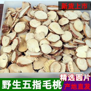 新货广西特产野生五指毛桃根中药材茯茶苓煲汤泡老根圆片五爪龙