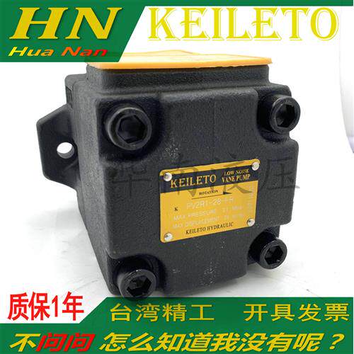 液叶片泵PV2R1-10 12 14 17 19 23 25 28 31F液压油泵铸铁