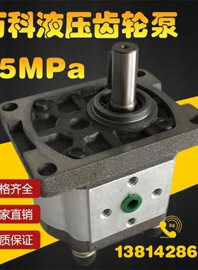 齿轮泵 液压油泵CBNG310 G314 G306 G320 G325 G316淮安液压