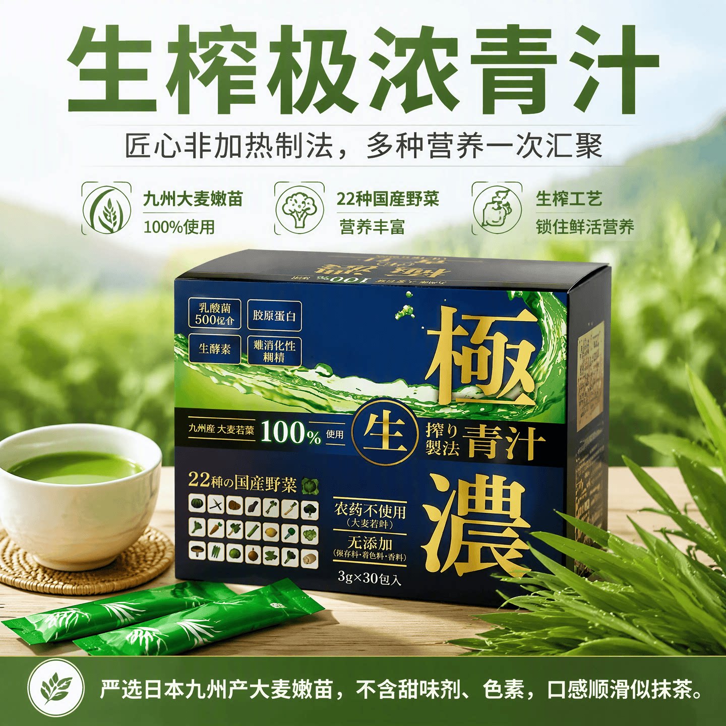 日本九州产大麦嫩苗青汁乳酸菌果蔬粉胶原蛋白膳食纤维营养补充