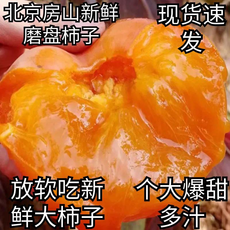 2023北京新鲜磨盘柿子大柿子新鲜软柿子爆甜懒柿磨盘盆柿当季水果