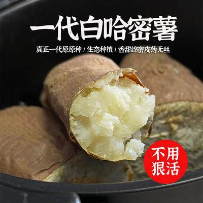 当季现挖~山东哈密冰糖薯新鲜沙地白心蜜薯红薯超甜山芋白瓤地瓜