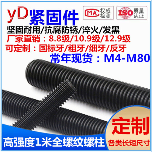 河北邯郸10级合金钢全牙发黑螺杆
