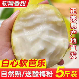 正宗冰淇淋奶油芭乐低糖水果番石榴鸡屎果新鲜白心土芭乐软糯香甜