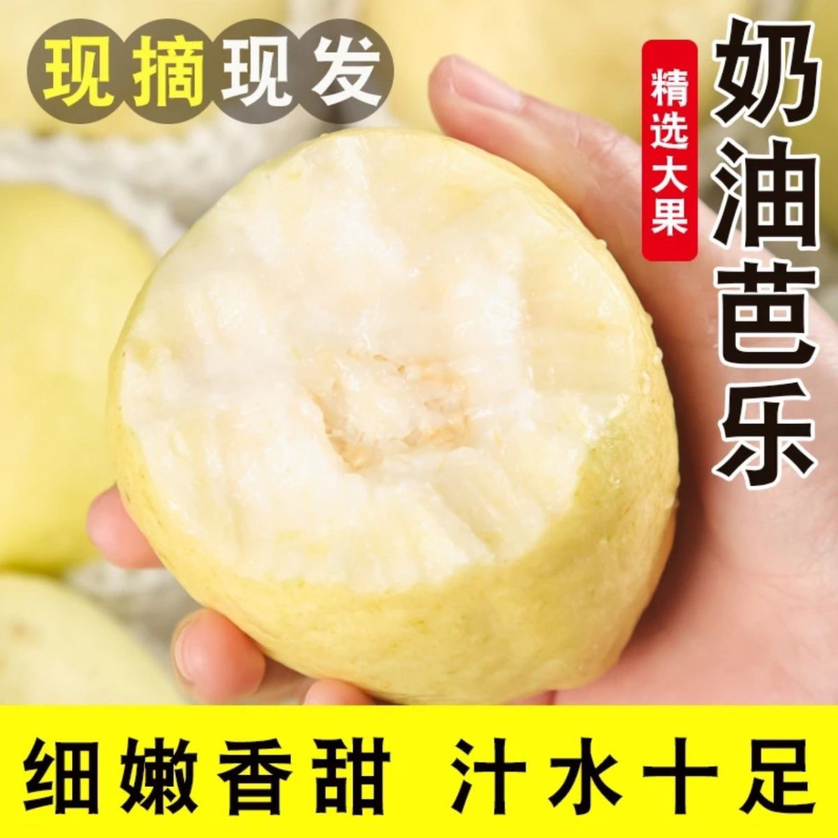 白心芭乐软糯奶油番石榴冰淇淋口感当季现摘新鲜水果5斤整箱包邮