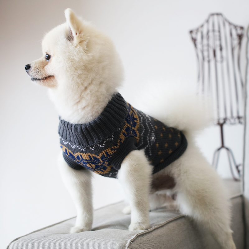 法斗雪纳瑞比熊博美柯基狗狗衣服