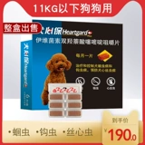 Сердце собаки внутренние собаки маленькие собаки 6 сорок бокс -собаки водители собак плюшевые собаки любимых собак с собаками