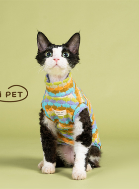HOiii PET 秋冬彩色毛衣背心德文猫衣服无毛猫保暖加厚潮流针织衫