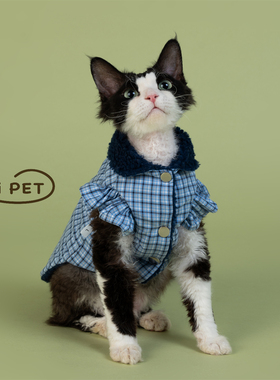 HOiii PET冬季羊羔毛格子马甲网红德文猫衣服无毛猫加厚外套保暖