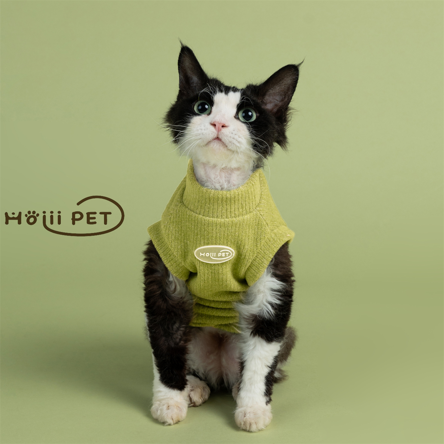 HOiii PET纯色毛衣背心德文猫衣服加厚无毛猫衣服保暖好穿可爱冬