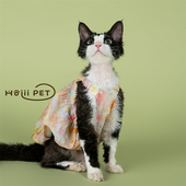 HOiii 透气空调服 PET油画花朵南瓜裙德文猫衣服无毛猫背心裙夏季