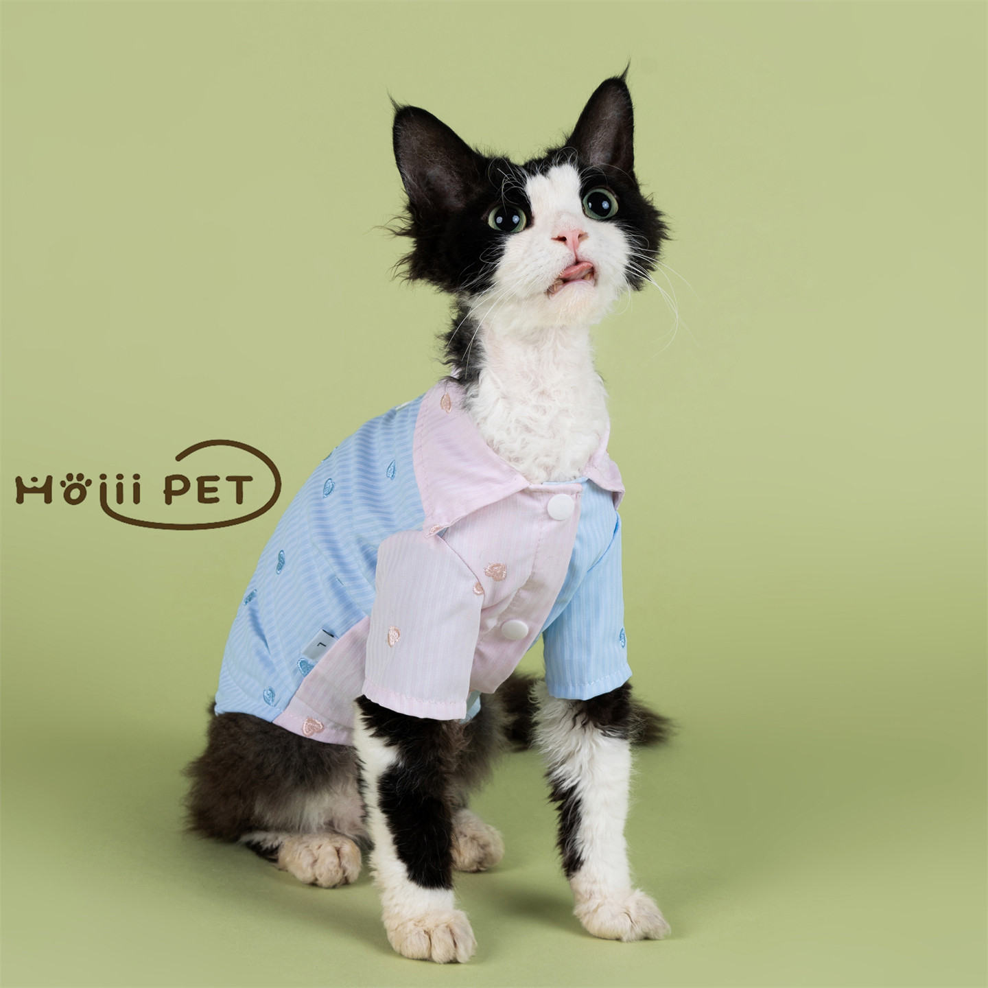 HOiii PET爱心刺绣拼色衬衫德文猫衣服纯棉无毛猫衣服蓝粉可爱韩,宠物/宠物食品及用品,猫宠物服装/雨衣（新）,淘宝优惠券,粉丝福利购,淘宝优惠卷