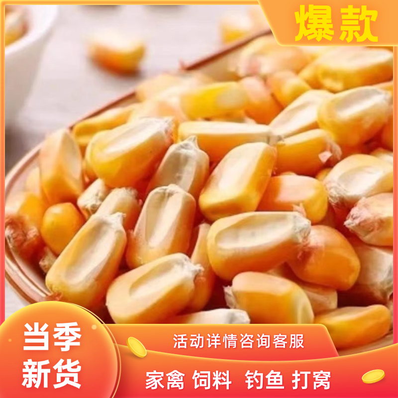 干玉米粒喂鸡鸭鸽粮新鲜玉米种子