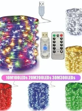 5M/10M/20/30M Telecontrol 8Mode Remote Control Lights USB Le