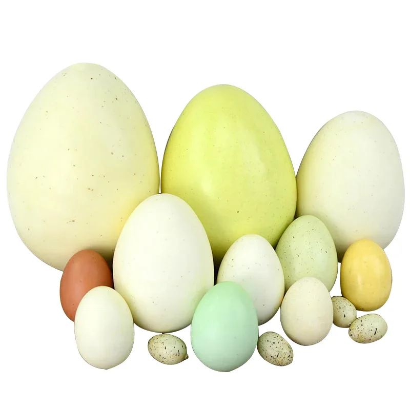 Simulation Ostrich Egg Goose Egg Quail Egg Duck Egg Painting