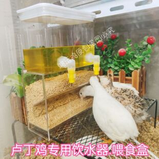 芦丁鸡喂水器喂食器撞针水壶饮水器水盒下料食盒喂食架鸟禽喂食器