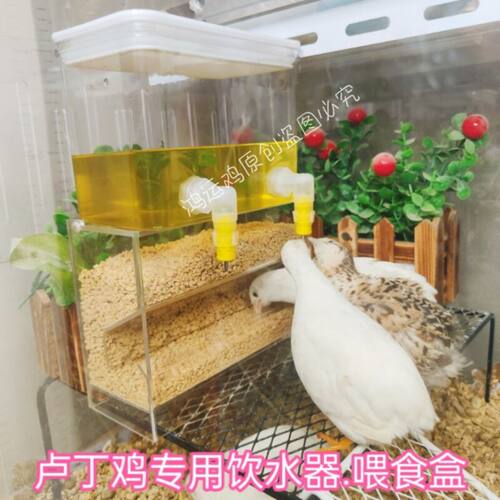饮水器食盒食槽撞针水壶喂食喂水
